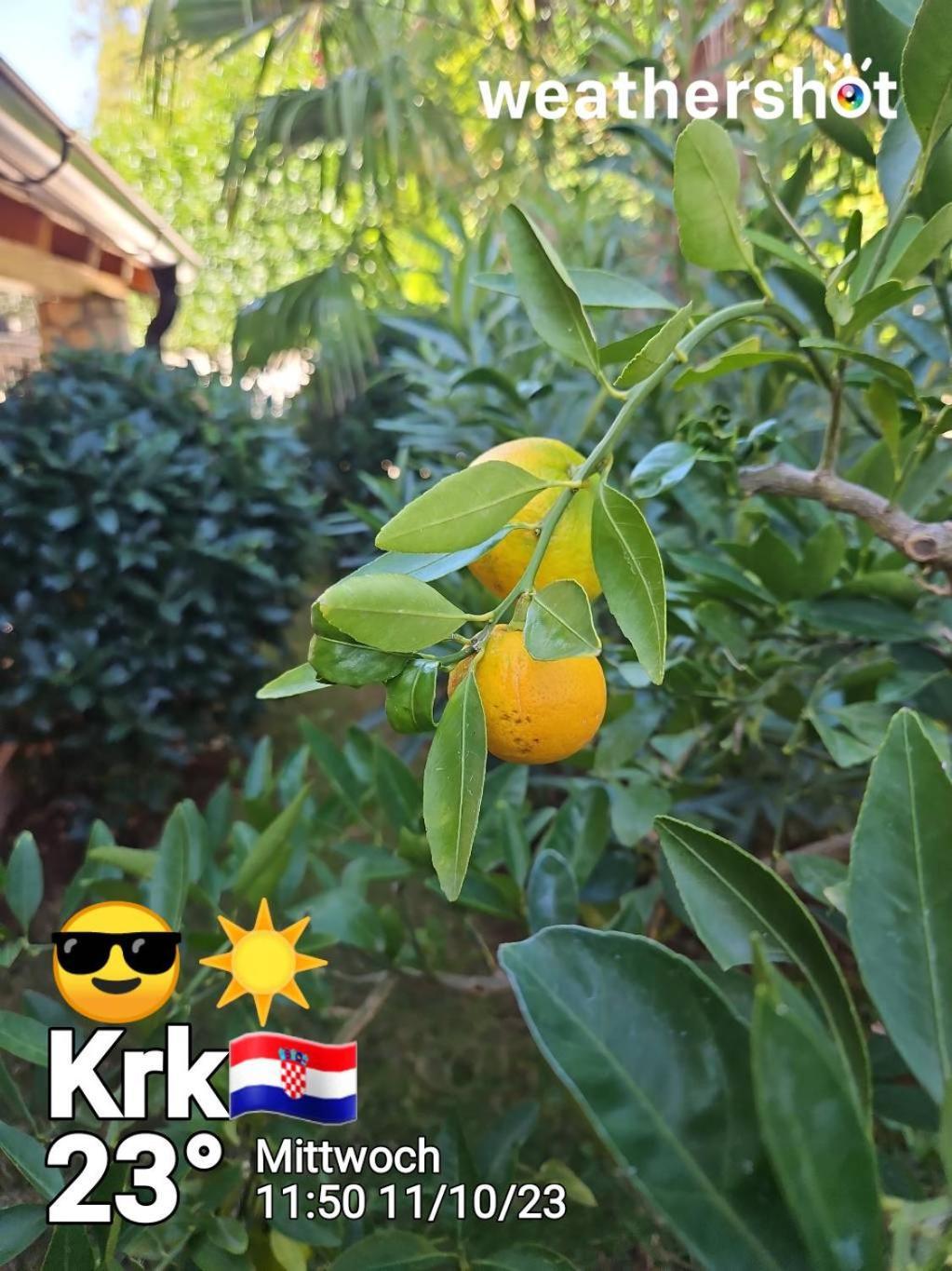 Villa Androcec Zgaljic Esterno foto